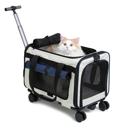 poussette-pour-chat-serin-bleu