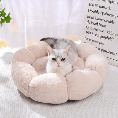 Coussin pour chat | UltraDoux