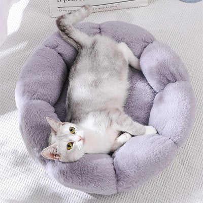 Coussin pour chat | UltraDoux