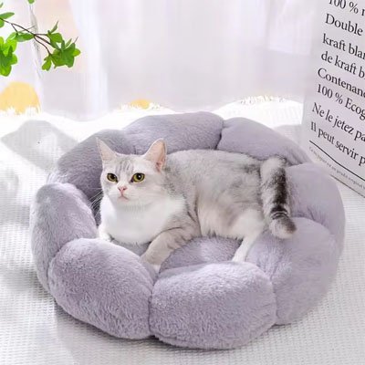 Coussin pour chat | UltraDoux