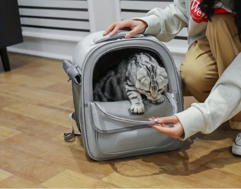 sac-a-dos-chat-kemo-facile