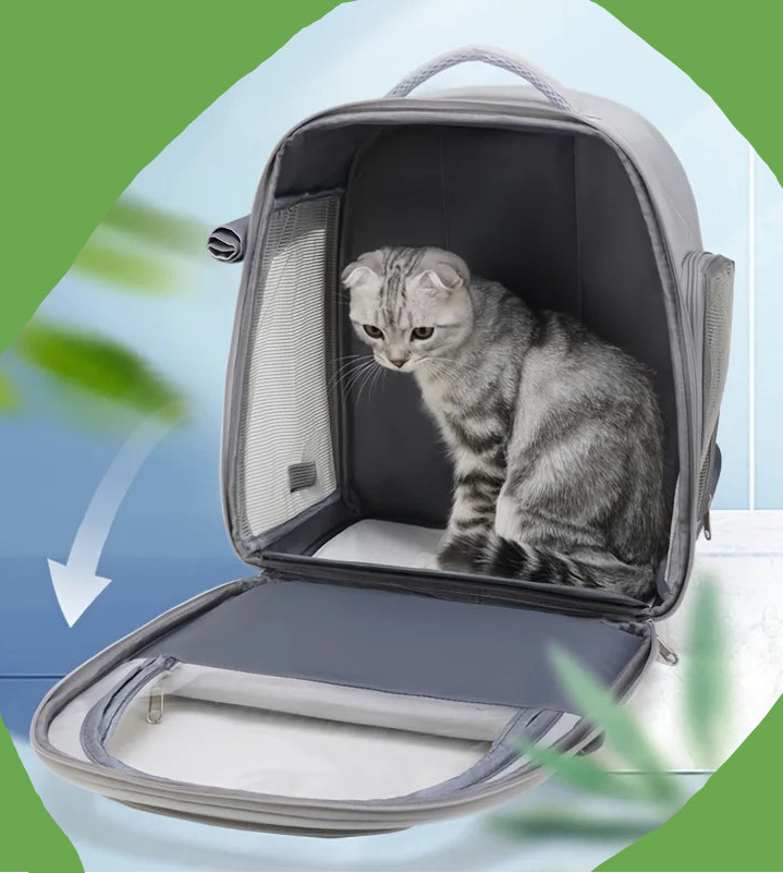 sac-a-dos-chat-kemo-pratique