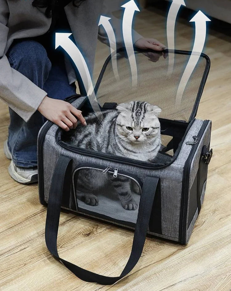 sac-a-dos-chat-respire-aéré
