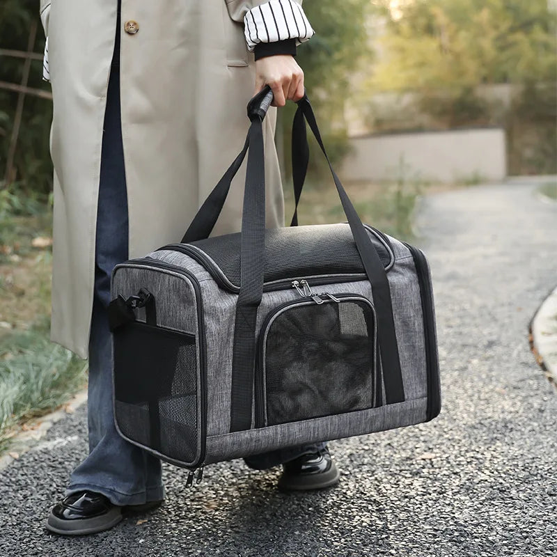 sac-a-dos-chat-respire-sortie