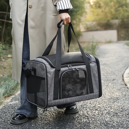 sac-a-dos-chat-respire-sortie