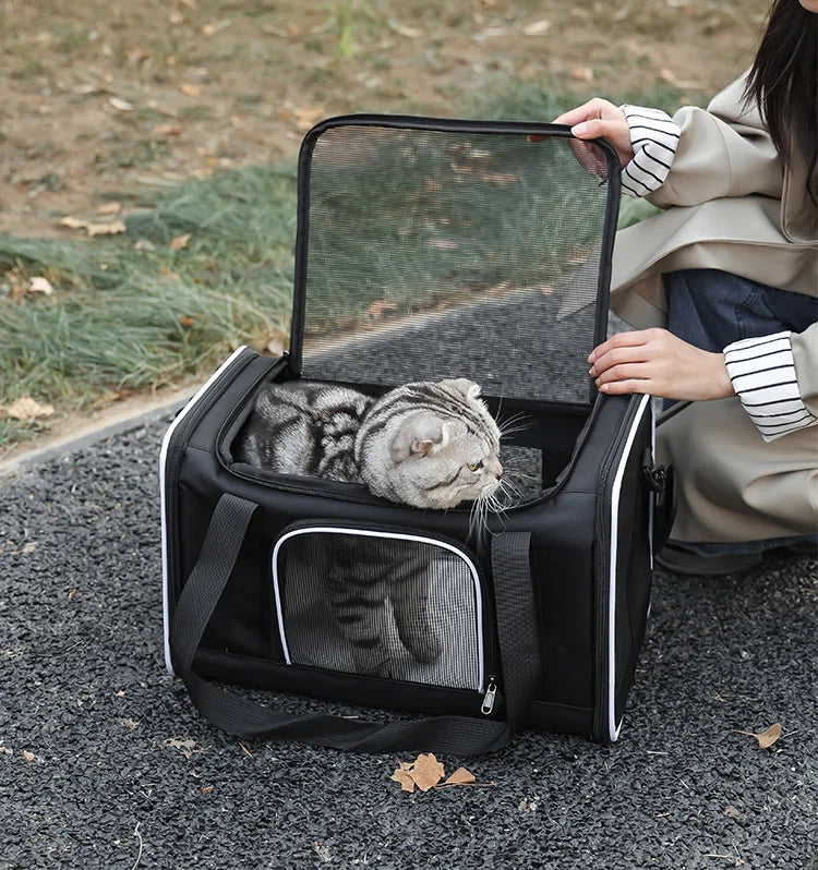 sac-a-dos-chat-respire-tranquil