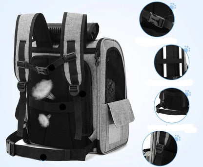 sac-a-dos-chat-sortie-robuste