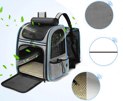 sac-a-dos-chat-sortie