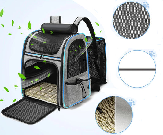 sac-a-dos-chat-sortie