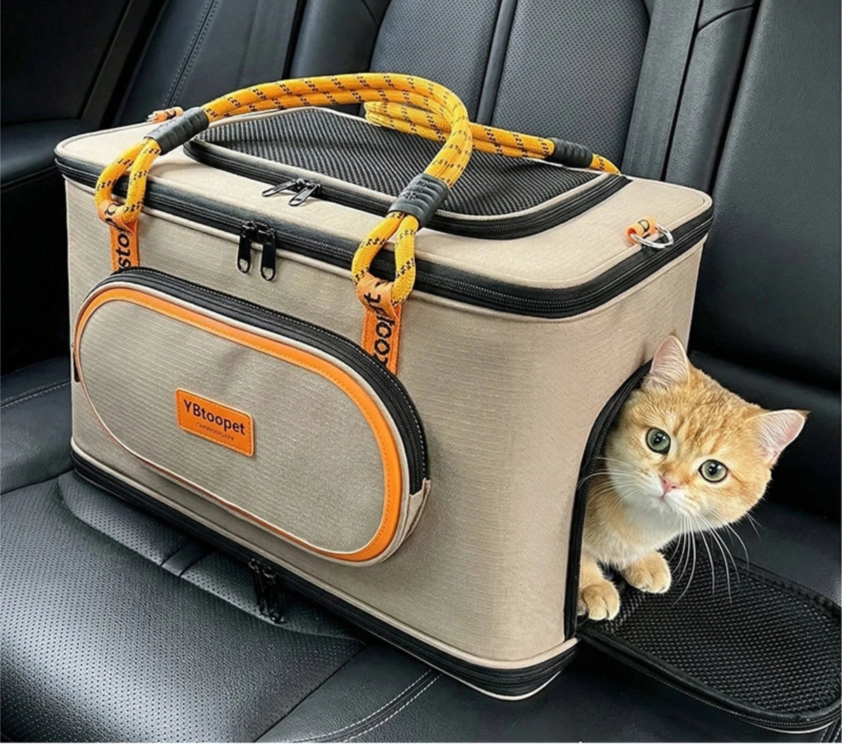 sac-de-transport-pour-chat-robuste