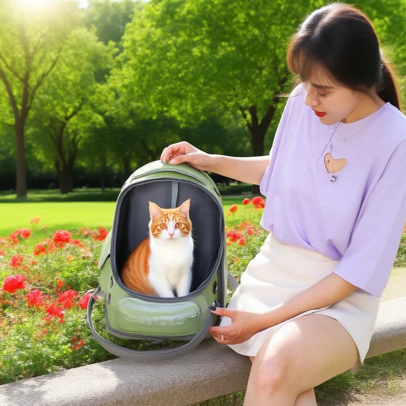 sac-de-transport-pour-chat-sortie