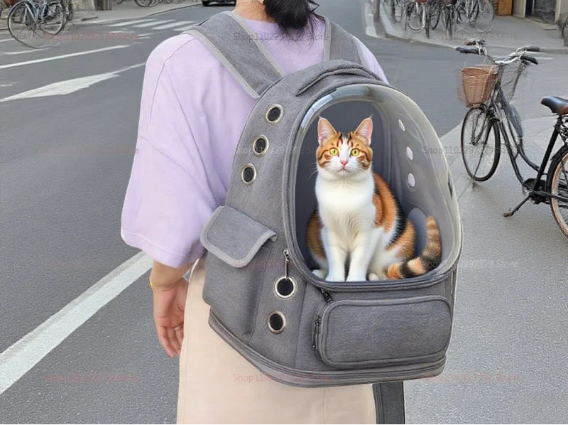 sac-de-transport-pour-chat-vision