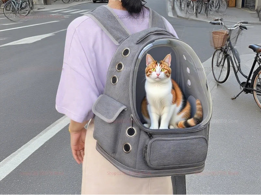 sac-de-transport-pour-chat-vision