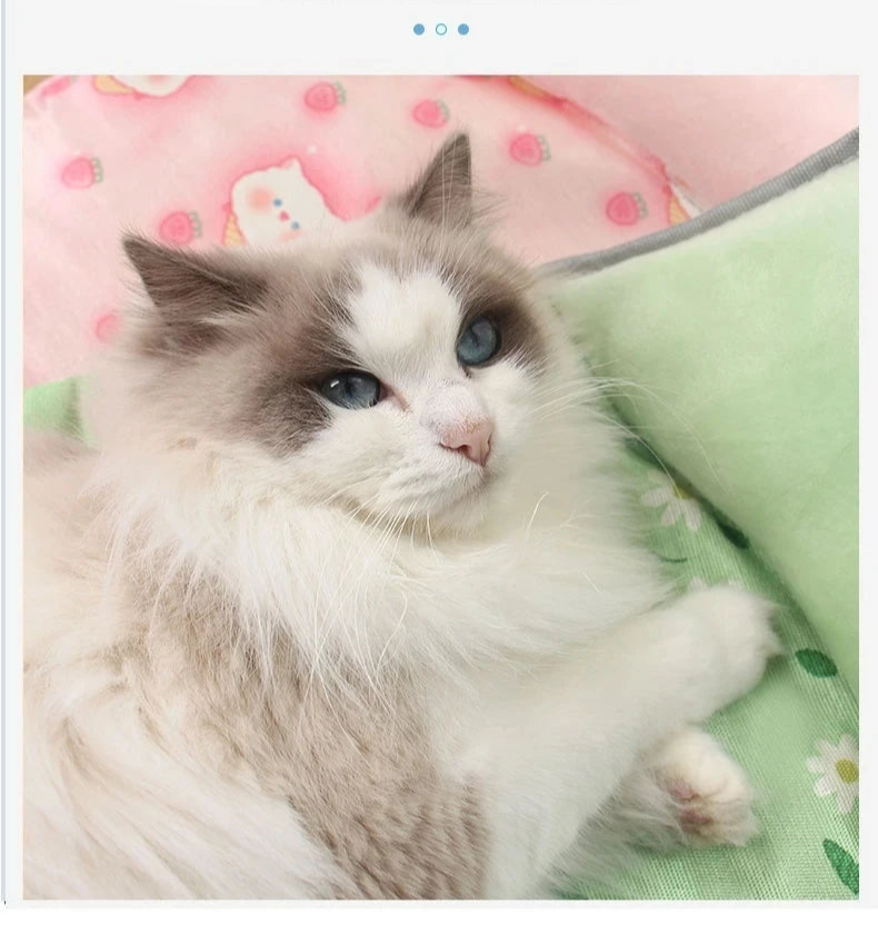 tapis-rafraichissant-chat-icefresh-poser