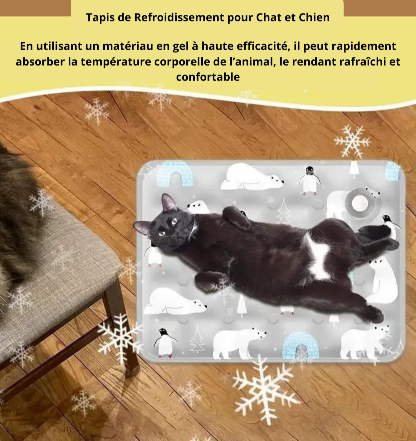 Tapis rafraichissant chat - Relax™ - Ronron-Toudou