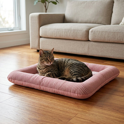 Tapis rafraichissant Chat | Confort Optimal