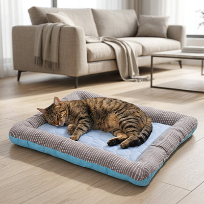 Tapis rafraichissant Chat | Confort Optimal